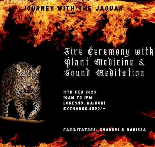 journey_with_the_jaguar-min